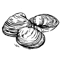 artworks-000147109897-61ll8o-t500x500